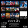 image Dogs Life 2025 Wall Calendar back cover