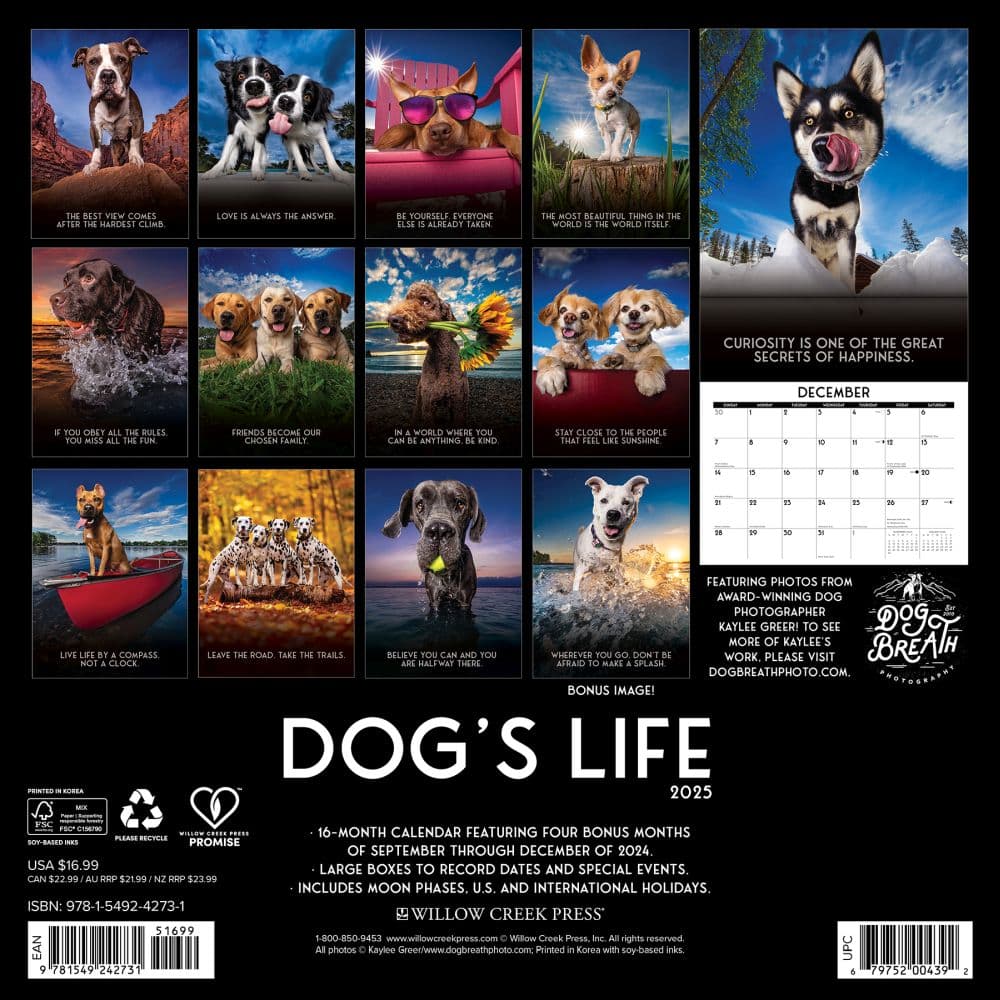 Dogs Life 2025 Wall Calendar back cover