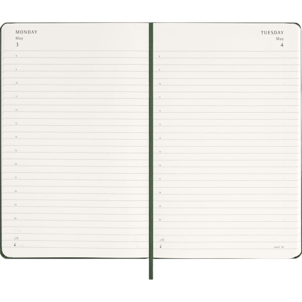 Moleskine Myrtle Green Large Hard Cover 2027 Daily Planner Third Alternate Image