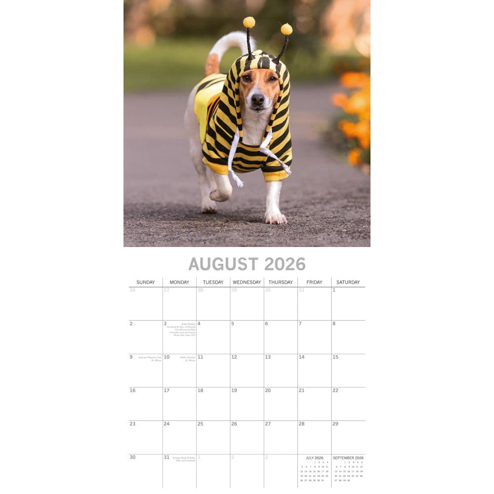 Dogs as Animals 2026 Wall Calendar Third Alternate Image