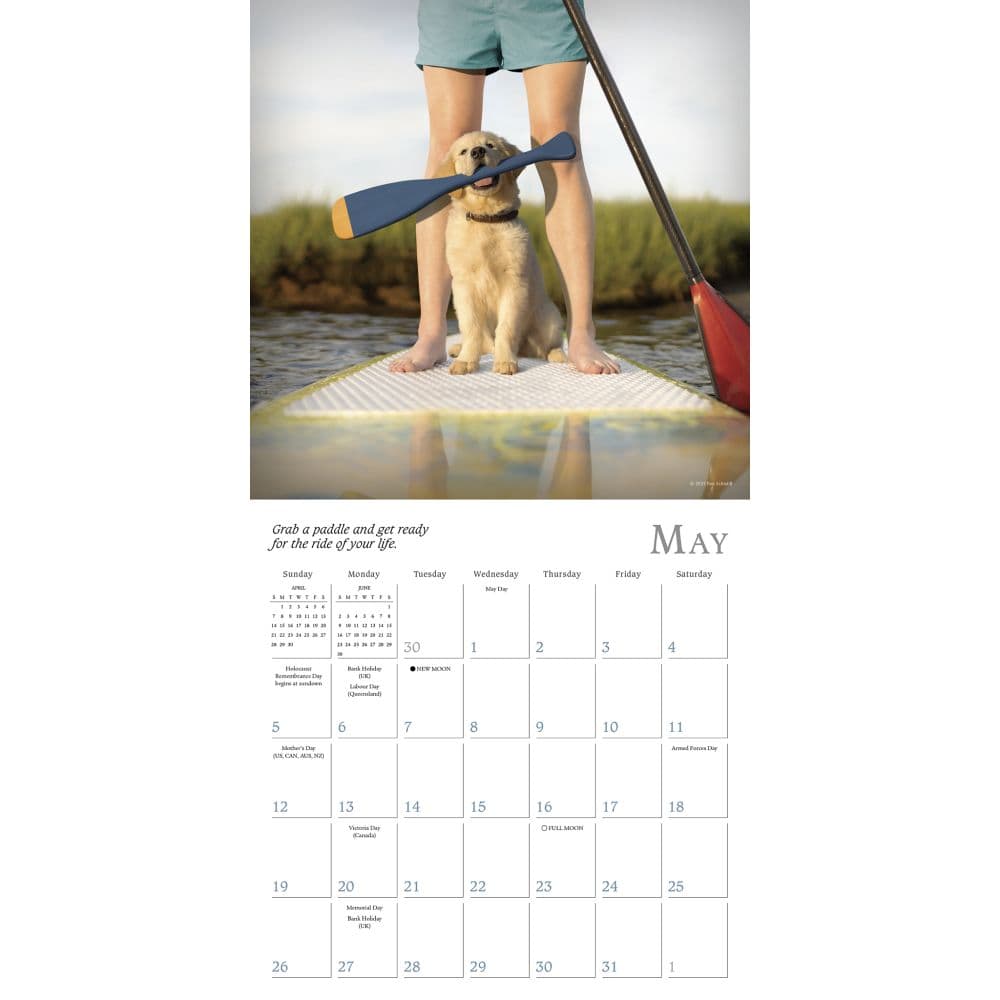 Dogma 2024 Mini Wall Calendar