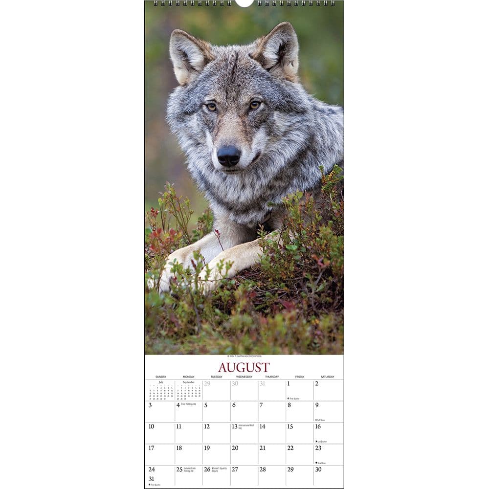 Wolves Vertical 2025 Wall Calendar Second Alternate Image width="1000" height="1000"