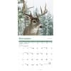 image White Tailed Deer Special Value 2026 Wall Calendar Fourth Alternate Image