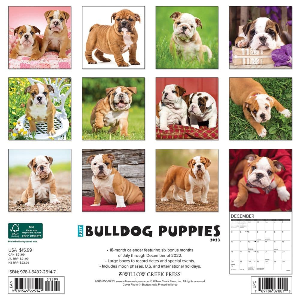 Bulldog Printable Calendar 2024 CALENDAR PRINTABLE