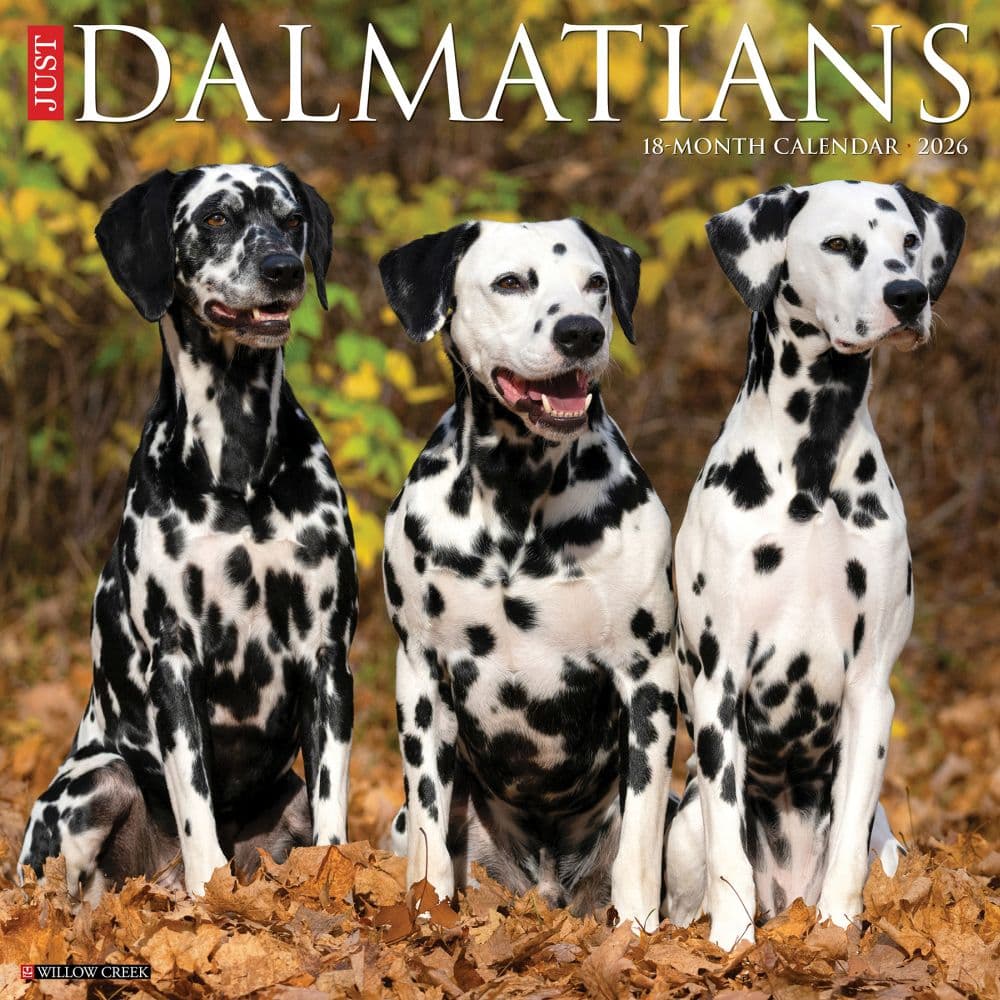 Just Dalmatians 2026 Wall Calendar Main Image
