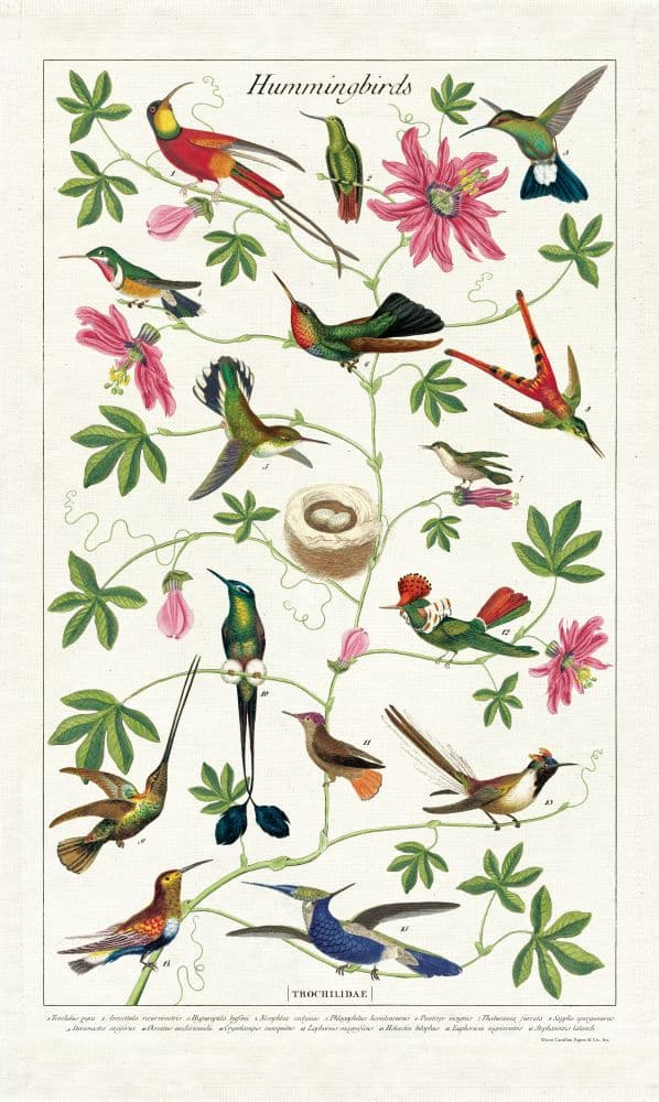 Cavallini Papers & Co. Hummingbirds Tea Towel