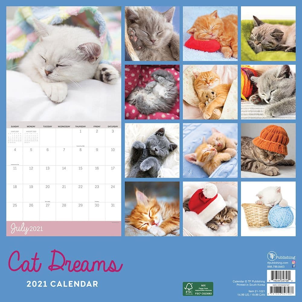 Cat Dreams Wall Calendar