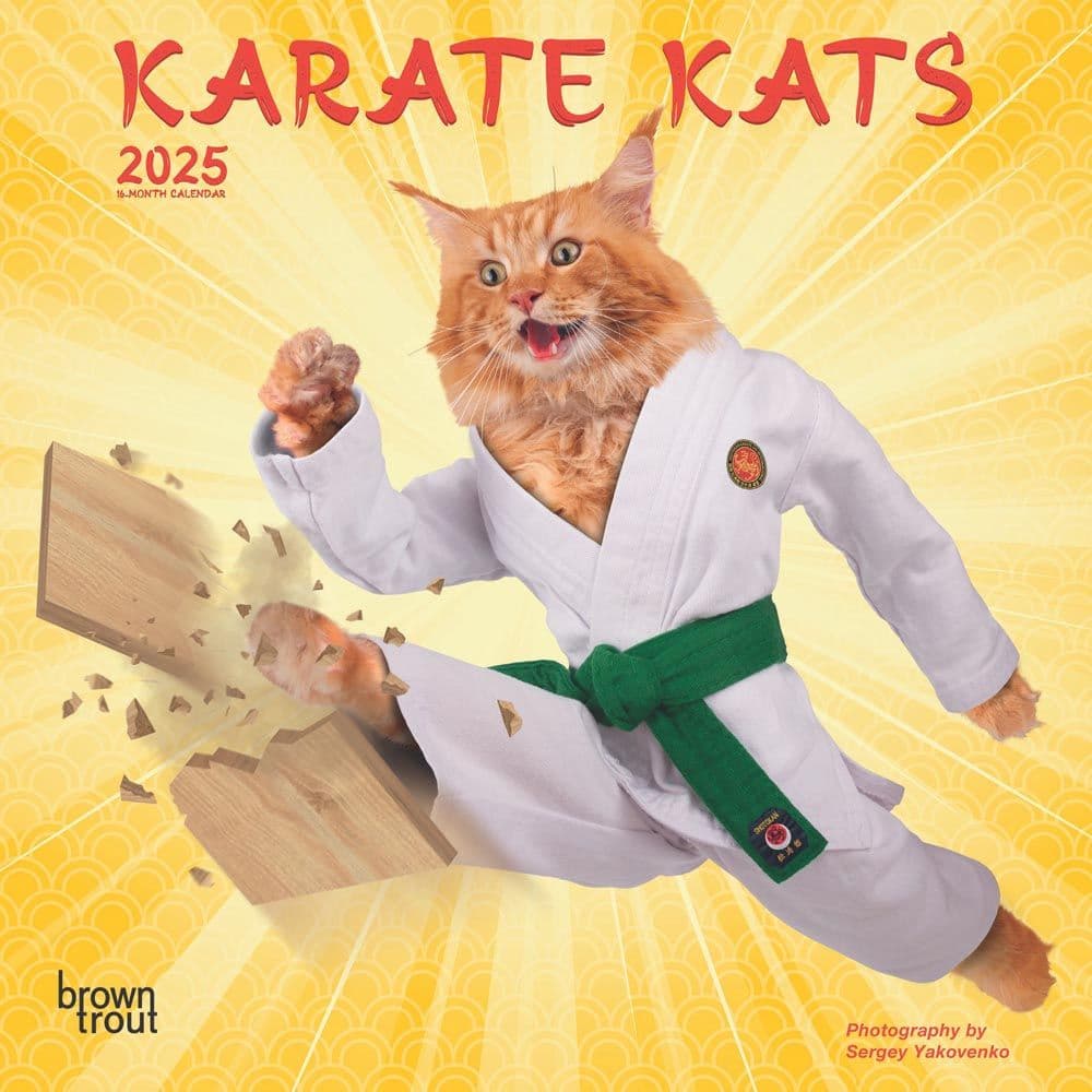 Karate Cats 2025 Mini Wall Calendar