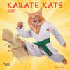 image Karate Cats 2025 Mini Wall Calendar