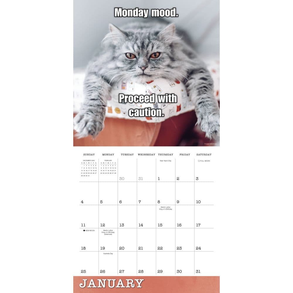 Meow Memes 2026 Wall Calendar Second Alternate Image