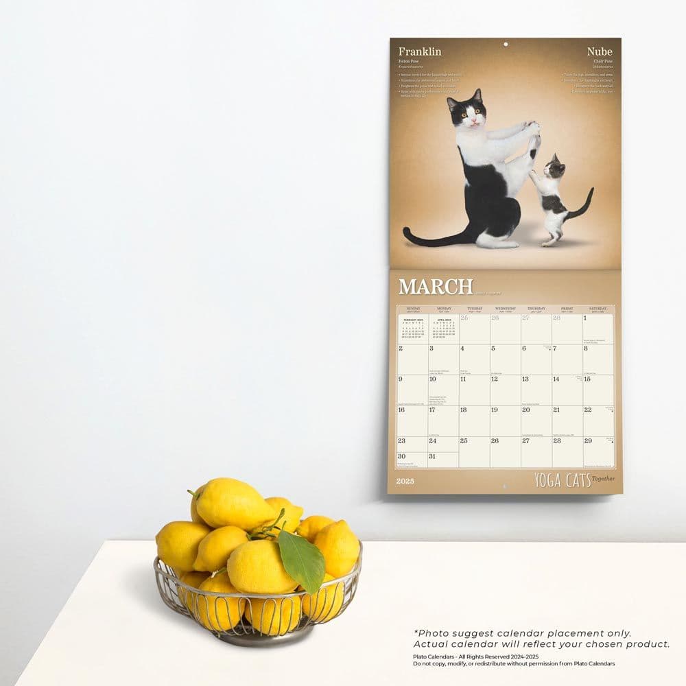 Yoga Cats Together by Plato 2025 Wall Calendar Third Alternate Image width=&quot;1000&quot; height=&quot;1000&quot;