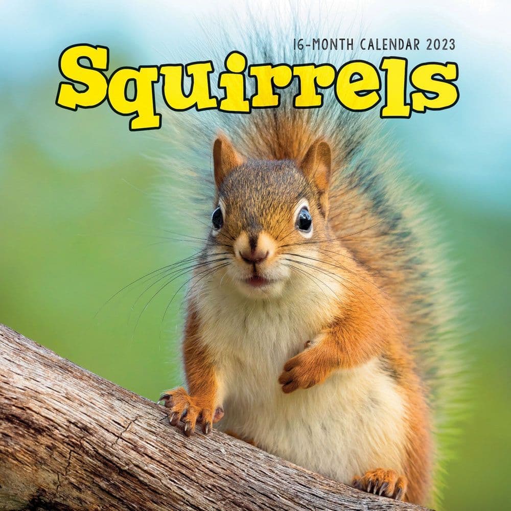 2023 Squirrel Calendar Squirrels 2023 Wall Calendar - Calendars.com