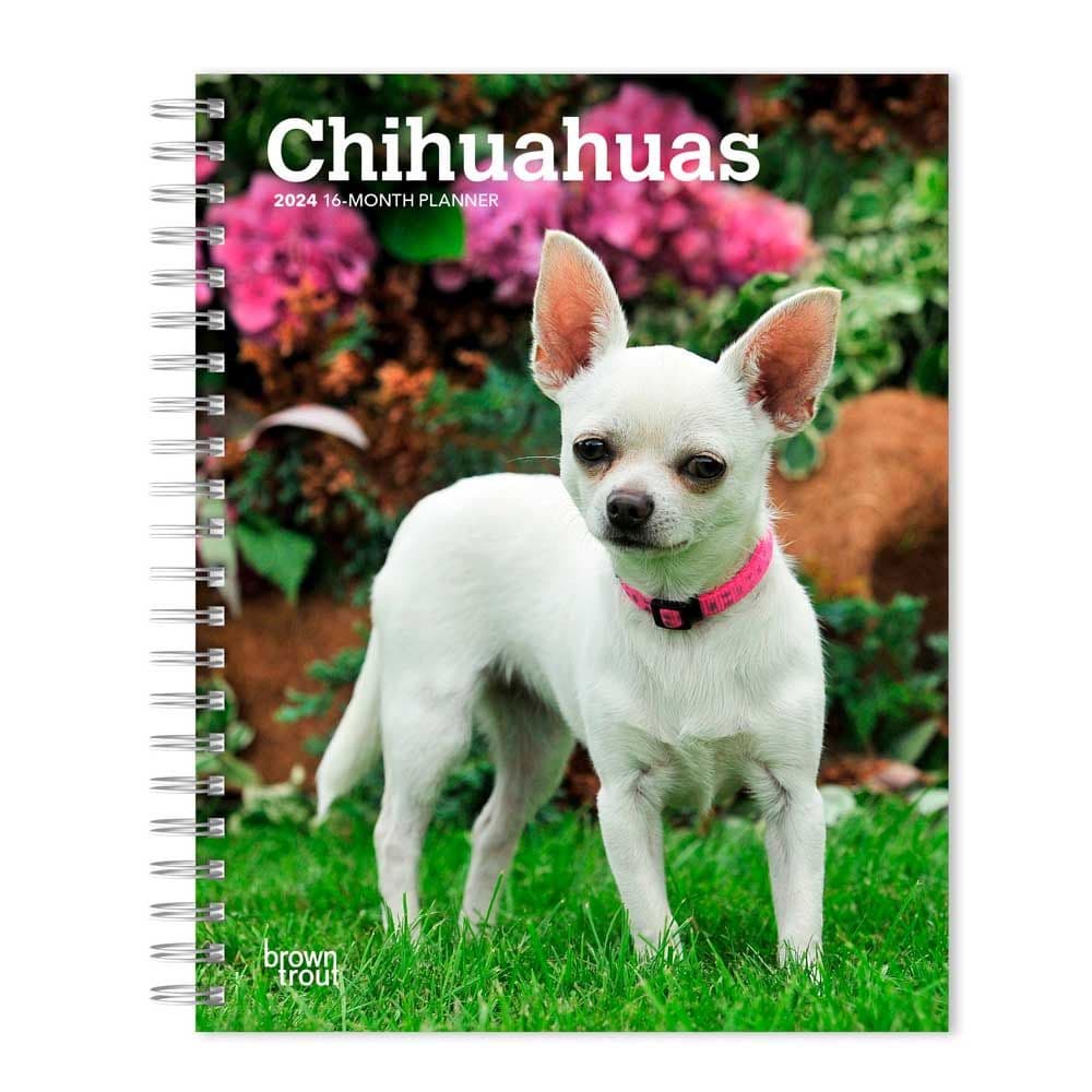 Chihuahuas 2024 Engagement Planner - Calendars.com