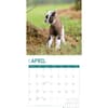 image Baby Goats 2024 Wall Calendar