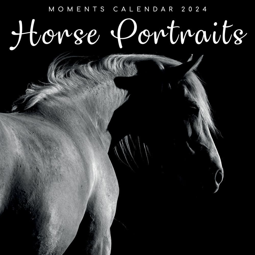 Best Monochrome: Horse Portraits 2024 Wall Calendar