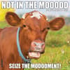 image Not In The Mooood 2026 Wall Calendar Main Image