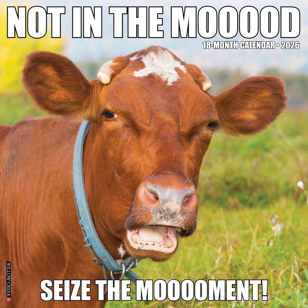 Not In The Mooood 2026 Wall Calendar Main Image