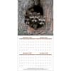 image Baby Animals Photo 2027 Wall Calendar