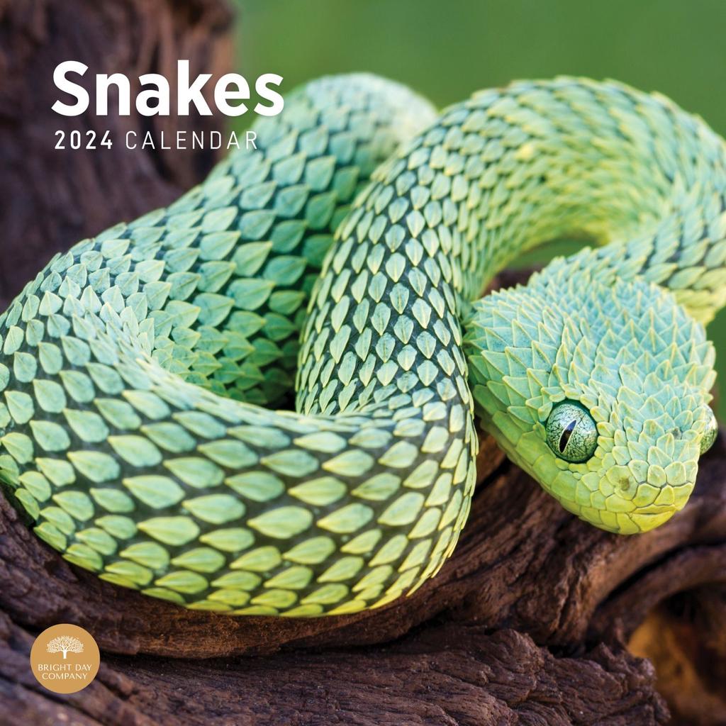 snakes-2024-wall-calendar-main