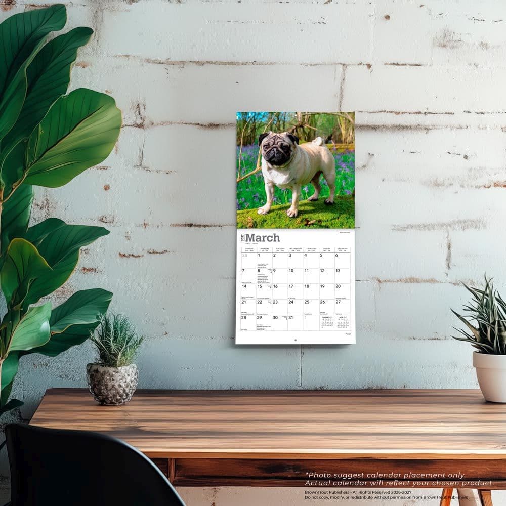 Pugs 2027 Mini Wall Calendar Fourth Alternate Image