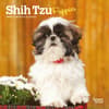 image Shih Tzu Puppies 2024 Mini Wall Calendar Main Image