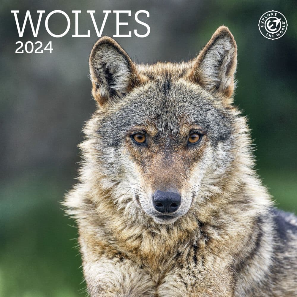 Wolves 2024 Mini Wall Calendar