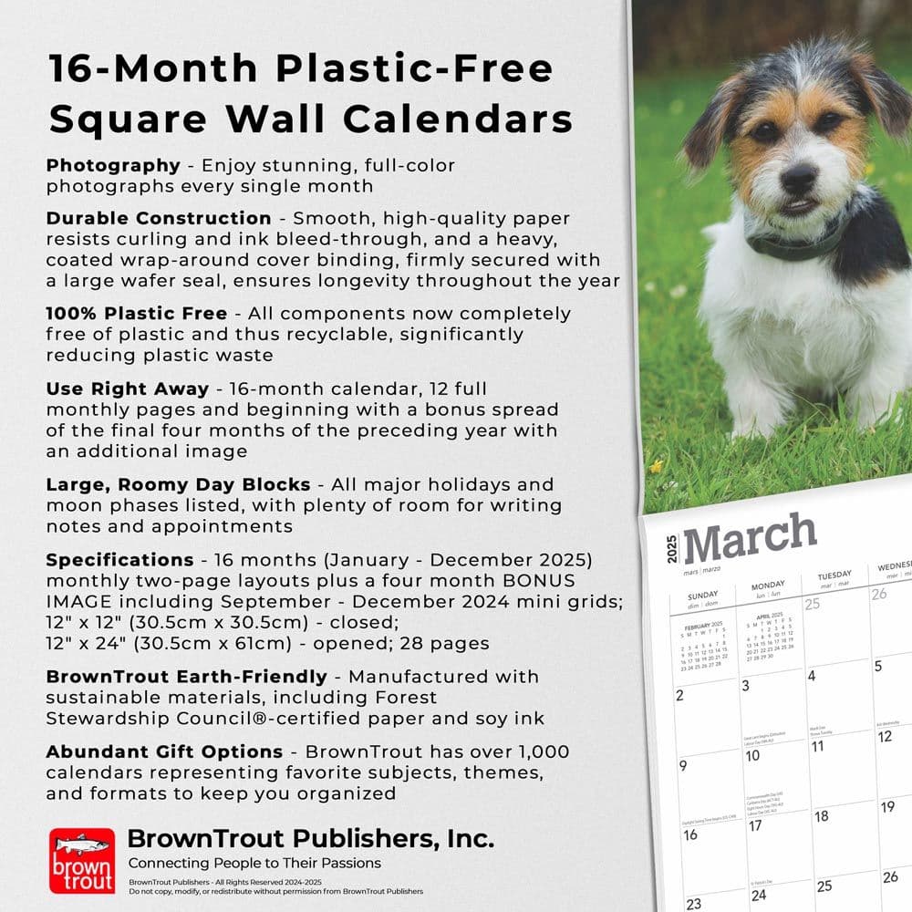 Jack Russell Terrier Puppies 2025 Wall Calendar Fifth Alternate Image