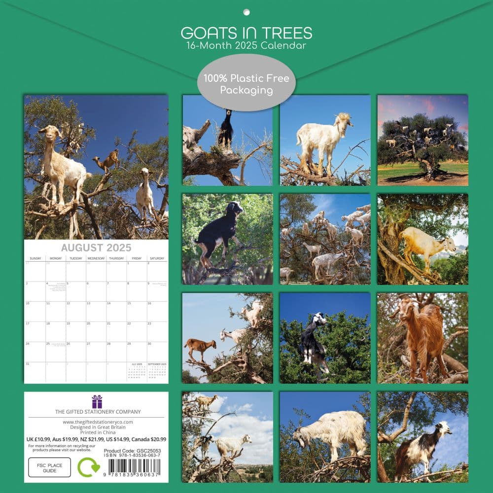 Goats in Trees 2025 Wall Calendar First Alternate Image width=&quot;1000&quot; height=&quot;1000&quot;