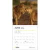 image NatGeo African Safari 2024 Wall Calendar Alternate 3
