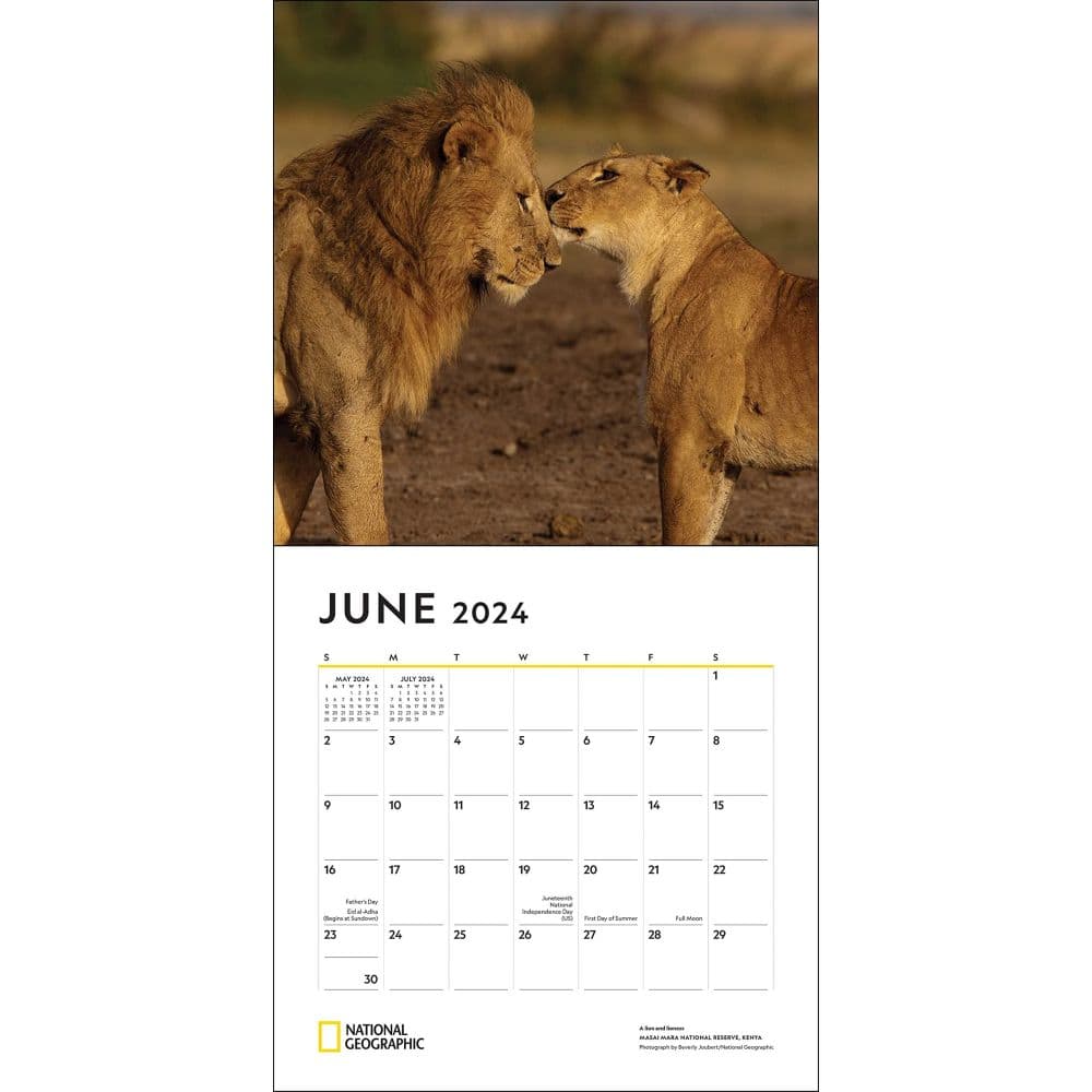NatGeo African Safari 2024 Wall Calendar Alternate 3