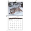 image Wildlife 2025 Wall Calendar Fifth Alternate Image width="1000" height="1000"