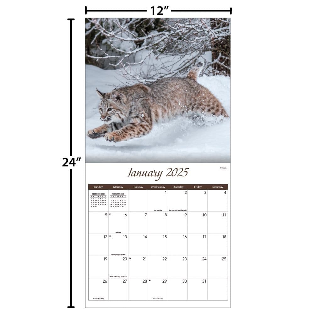 Wildlife 2025 Wall Calendar Fifth Alternate Image width="1000" height="1000"