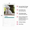 image Bichon Frise 2025 Wall Calendar Second Alternate Image