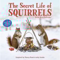 image Secret Life of Squirrels 2026 Mini Wall Calendar Main Image