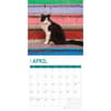 image Tuxedo Cats 2025 Wall Calendar Second Alternate Image width=&quot;1000&quot; height=&quot;1000&quot;