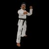 image Karate Kid Daniel GO! Exclusive Alternate Image 5