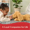 image Muttsy Dog Plush 14 inch First Alternate Image