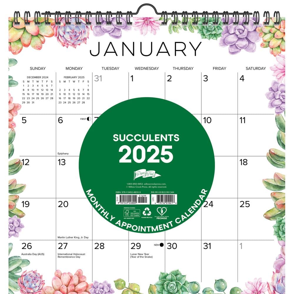 Succulents Spiral Art 2025 Wall Calendar