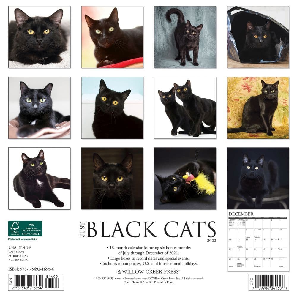 Black Cats 2022 Wall Calendar - Calendars.com