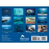 image Sharks 2026 Wall Calendar First Alternate Image