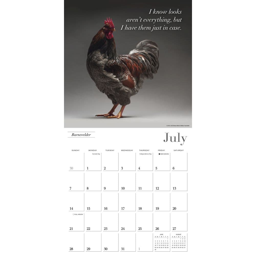 Glamour Chicks 2024 Wall Calendar