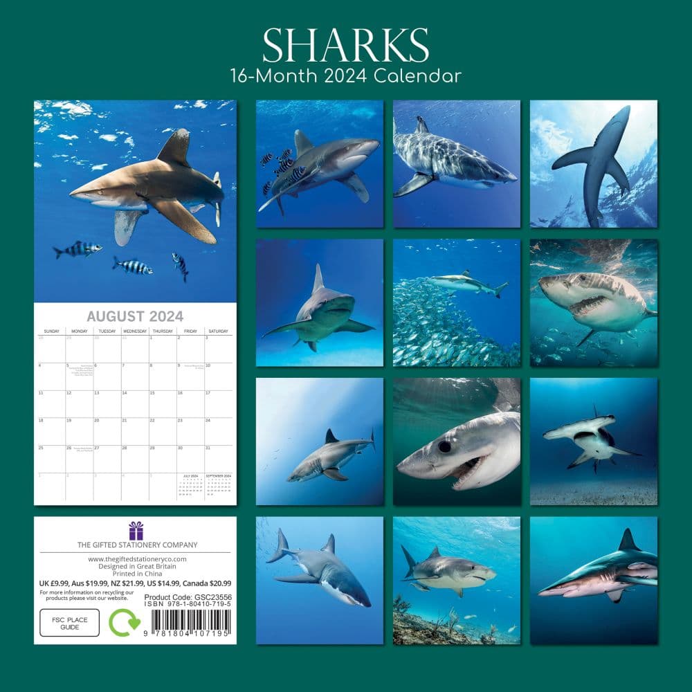 Sharks 2024 Wall Calendar