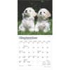 image Bichon Frise Puppies 2025 Mini Wall Calendar Third Alternate Image width=&quot;1000&quot; height=&quot;1000&quot;