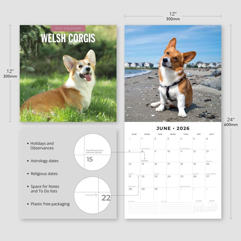Welsh Corgis 2026 Wall Calendar Fourth Alternate Image