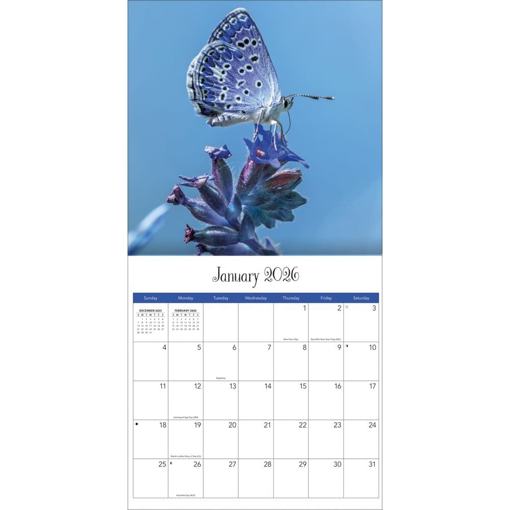 Butterflies 2026 Mini Wall Calendar_ALT2