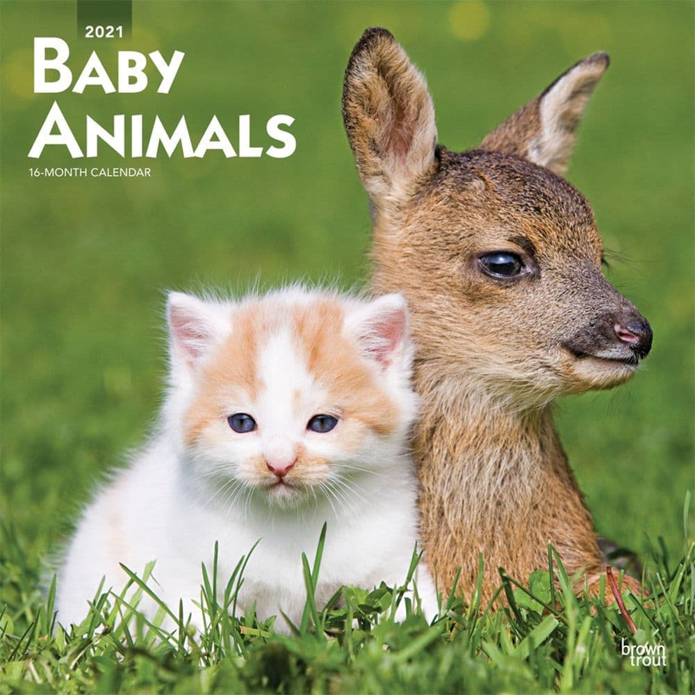 Baby Animals Wall Calendar - Calendars.com
