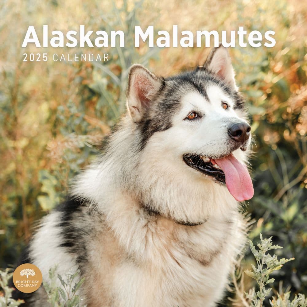 Alaskan Malamutes 2025 Wall Calendar