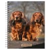 image Dachshunds 2024 Planner Main Product Image width=&quot;1000&quot; height=&quot;1000&quot;