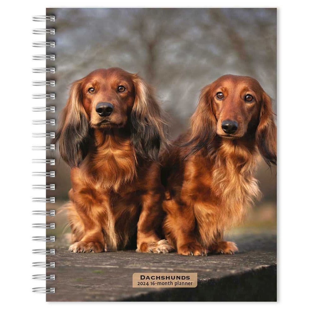 Dachshunds 2024 Planner Main Product Image width=&quot;1000&quot; height=&quot;1000&quot;