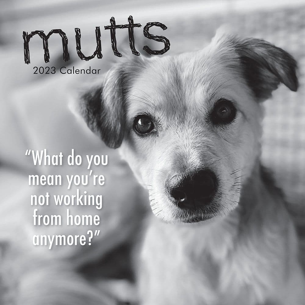 The Gifted Stationery Co Ltd Mutts 2023 Wall Calendar